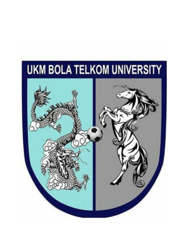 TELKOM UNIVERSITY